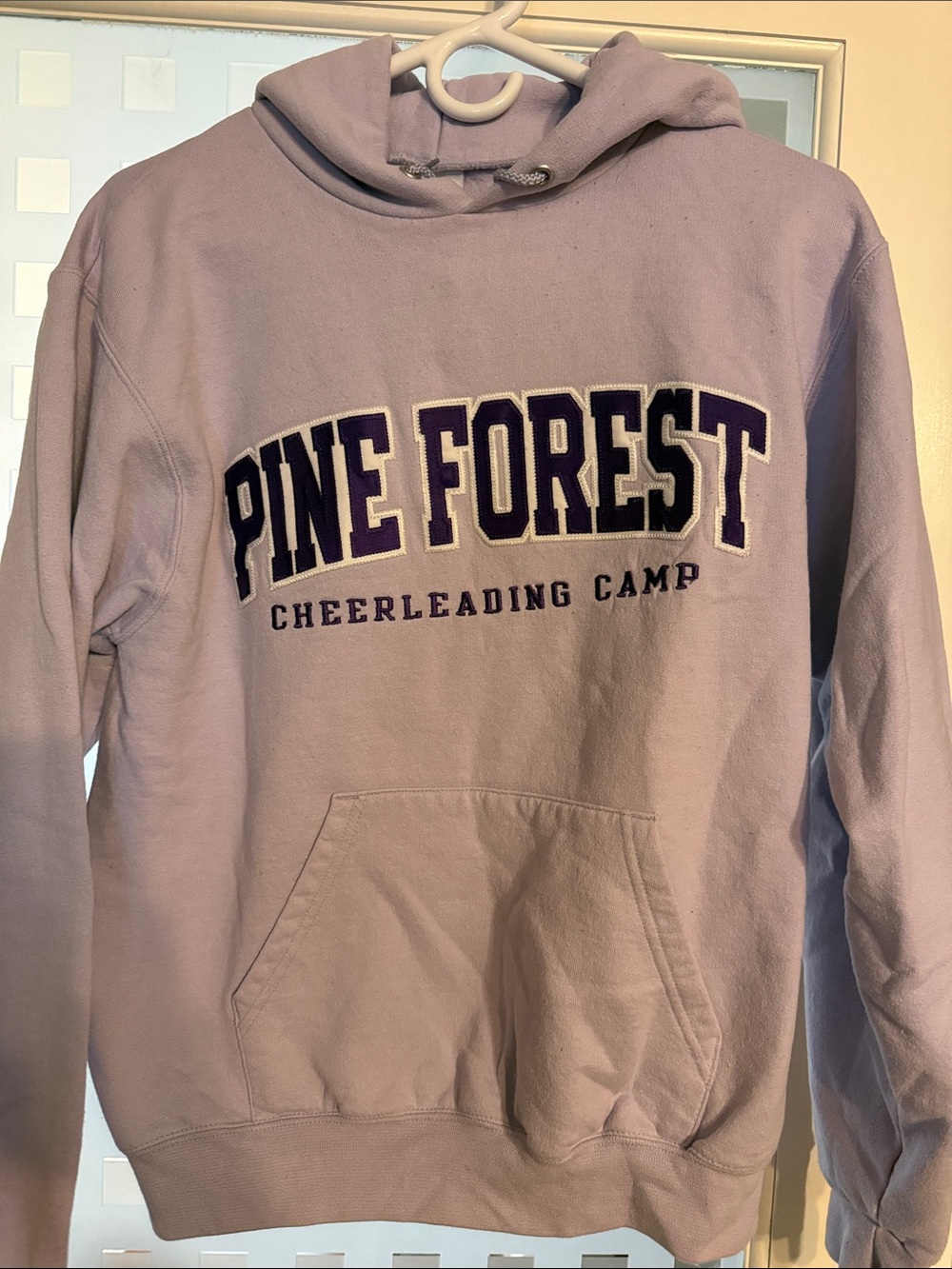 Champion Light Lavender Pine Forest Hooded Sweatshirt